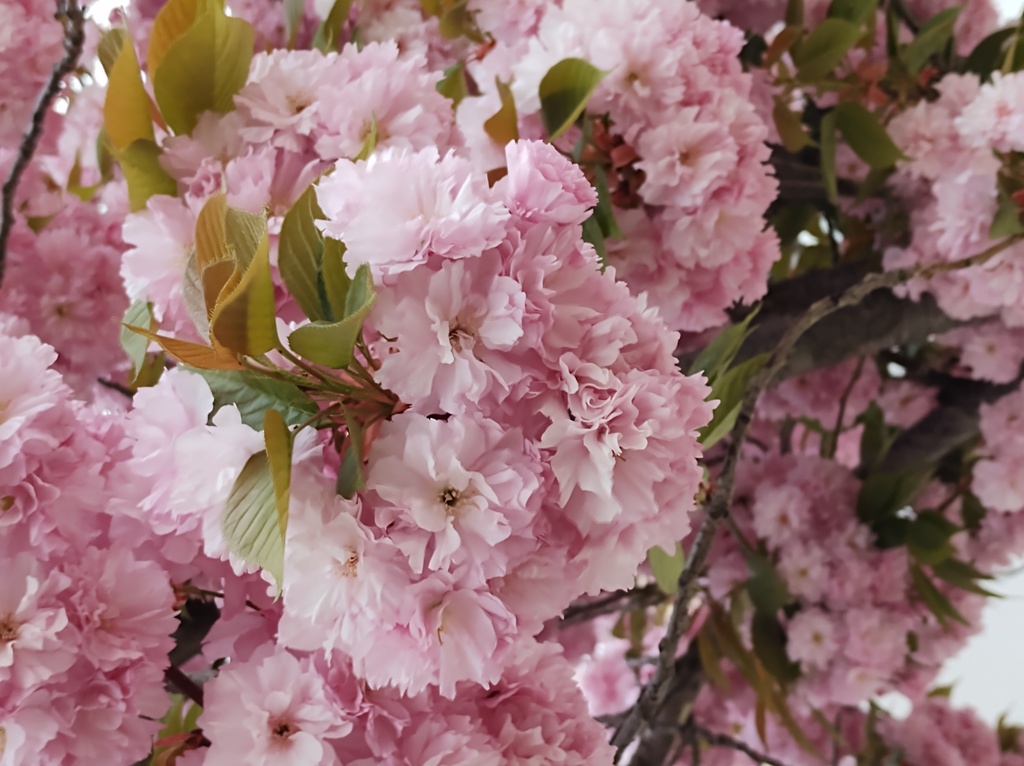 No s'ha trobat l'arxiu